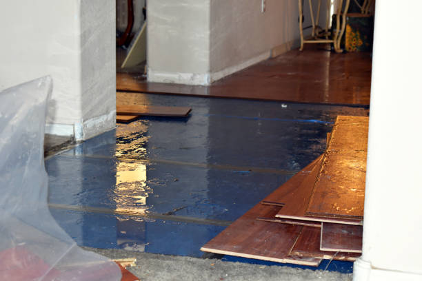 Professional Basement Flood Cleanup technician working in Berthoud, CO